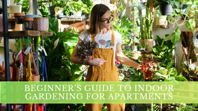 Beginner’s Guide to Indoor Gardening for Apartments: Easy Steps for a Greener Home